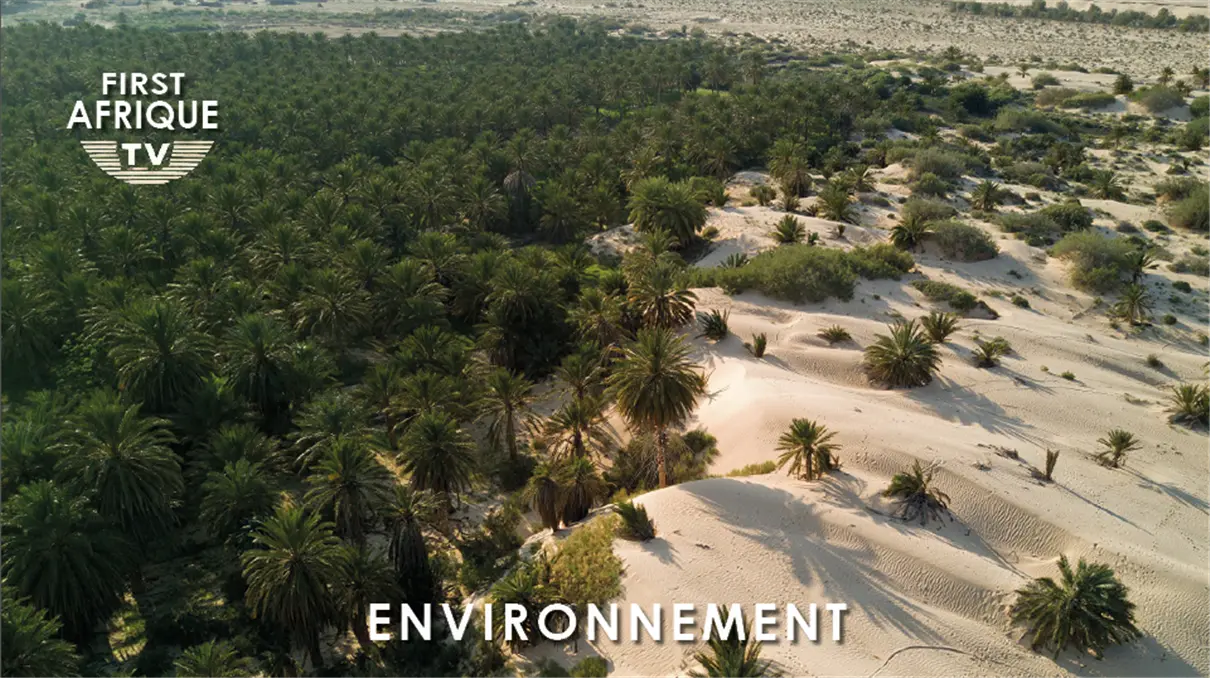 00 Environnement W